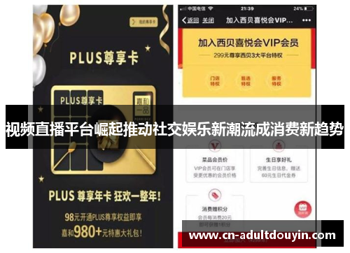 视频直播平台崛起推动社交娱乐新潮流成消费新趋势